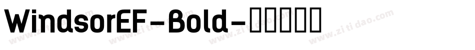 WindsorEF-Bold字体转换