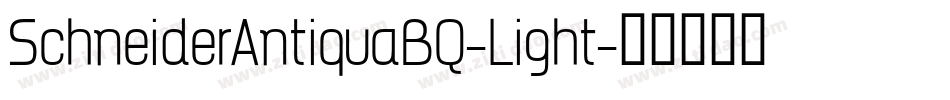 SchneiderAntiquaBQ-Light字体转换