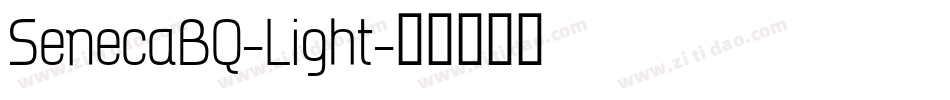 SenecaBQ-Light字体转换