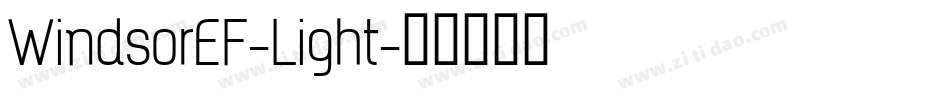 WindsorEF-Light字体转换