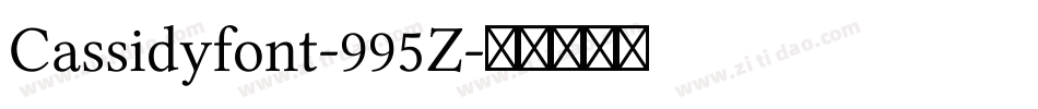 Cassidyfont-995Z字体转换