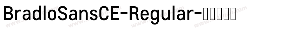 BradloSansCE-Regular字体转换
