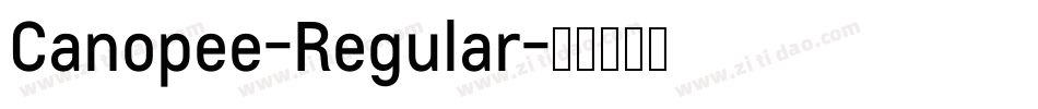 Canopee-Regular字体转换