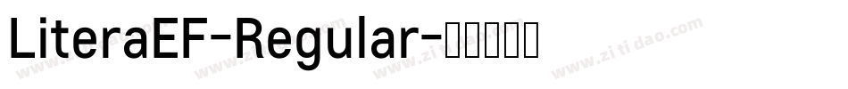 LiteraEF-Regular字体转换