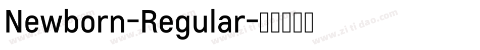 Newborn-Regular字体转换