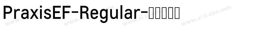PraxisEF-Regular字体转换