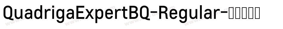 QuadrigaExpertBQ-Regular字体转换