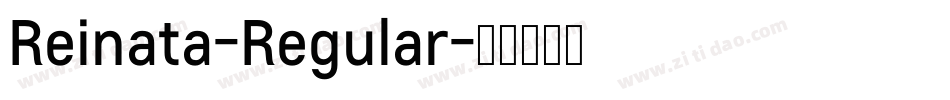 Reinata-Regular字体转换