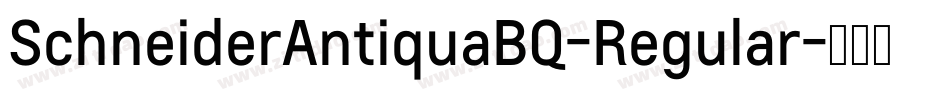 SchneiderAntiquaBQ-Regular字体转换