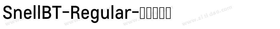 SnellBT-Regular字体转换