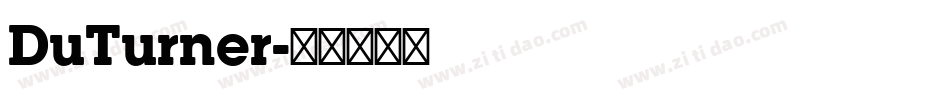DuTurner字体转换