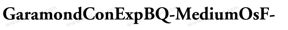 GaramondConExpBQ-MediumOsF字体转换