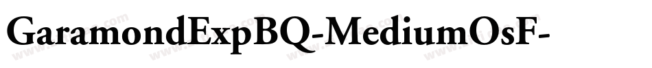 GaramondExpBQ-MediumOsF字体转换