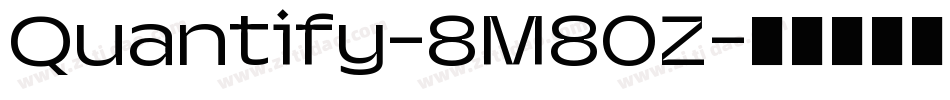Quantify-8M80Z字体转换