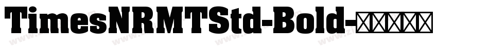 TimesNRMTStd-Bold字体转换
