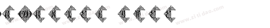 DuoDunkel-ywee字体转换