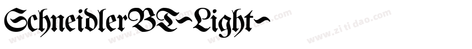 SchneidlerBT-Light字体转换