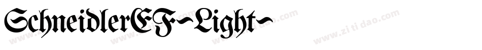 SchneidlerEF-Light字体转换