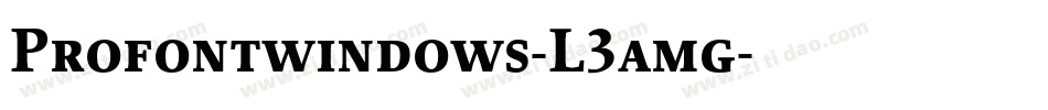Profontwindows-L3amg字体转换