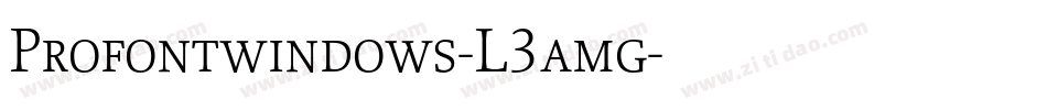 Profontwindows-L3amg字体转换