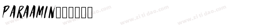 PARAAMIN字体转换