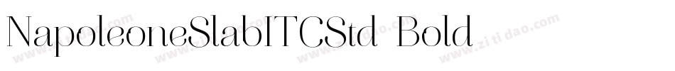 NapoleoneSlabITCStd-Bold字体转换