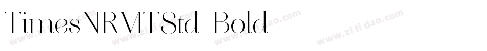 TimesNRMTStd-Bold字体转换