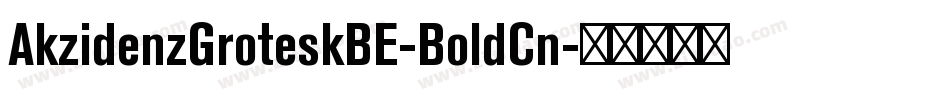 AkzidenzGroteskBE-BoldCn字体转换