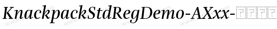 KnackpackStdRegDemo-AXxx字体转换