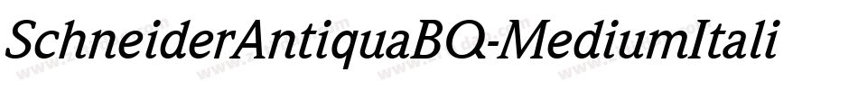 SchneiderAntiquaBQ-MediumItalic字体转换