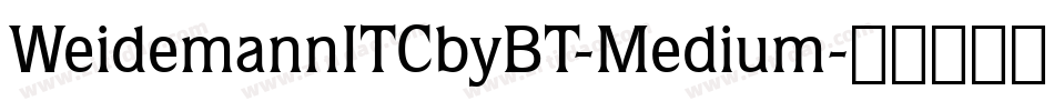 WeidemannITCbyBT-Medium字体转换