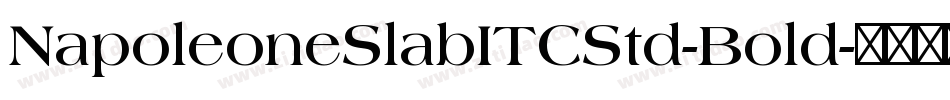 NapoleoneSlabITCStd-Bold字体转换
