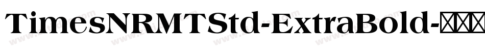 TimesNRMTStd-ExtraBold字体转换