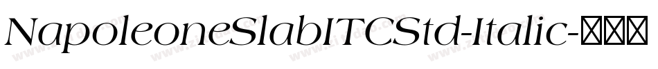 NapoleoneSlabITCStd-Italic字体转换