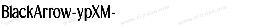 BlackArrow-ypXM字体转换 BlackArrow-ypXM字体转换