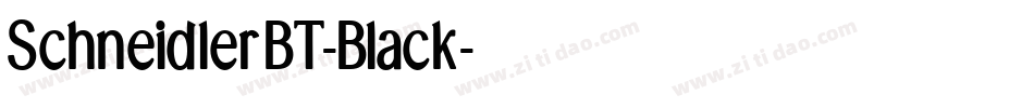 SchneidlerBT-Black字体转换