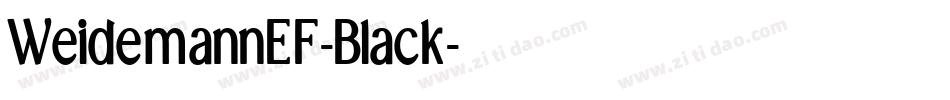 WeidemannEF-Black字体转换