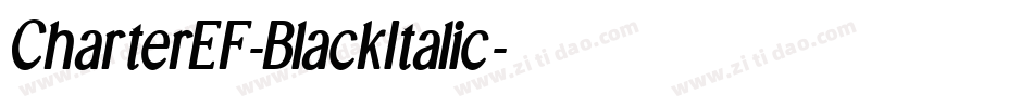 CharterEF-BlackItalic字体转换