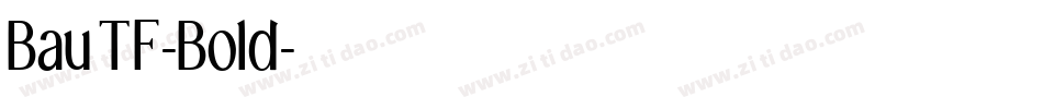 BauTF-Bold字体转换