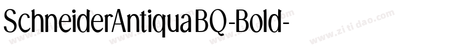 SchneiderAntiquaBQ-Bold字体转换