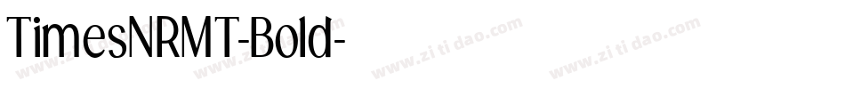 TimesNRMT-Bold字体转换