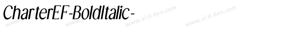 CharterEF-BoldItalic字体转换