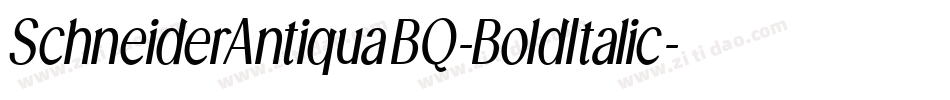 SchneiderAntiquaBQ-BoldItalic字体转换