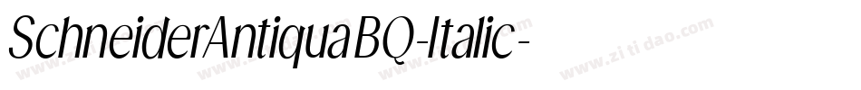 SchneiderAntiquaBQ-Italic字体转换