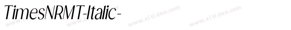 TimesNRMT-Italic字体转换