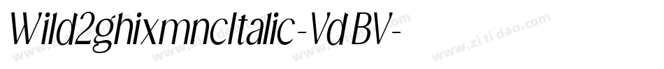 Wild2ghixmncItalic-VdBV字体转换