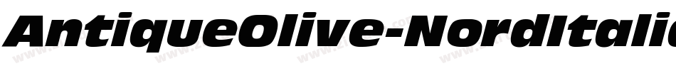 AntiqueOlive-NordItalic字体转换