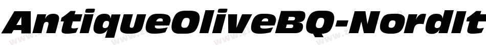AntiqueOliveBQ-NordItalic字体转换