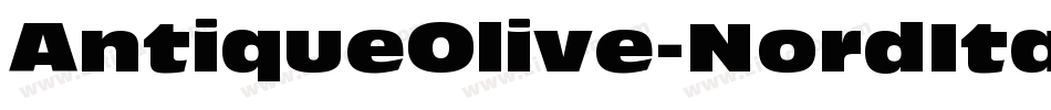 AntiqueOlive-NordItalic字体转换