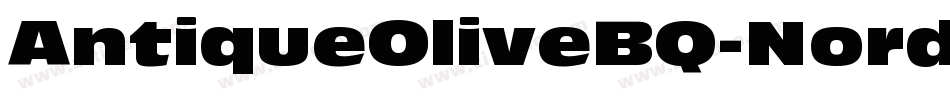 AntiqueOliveBQ-NordItalic字体转换